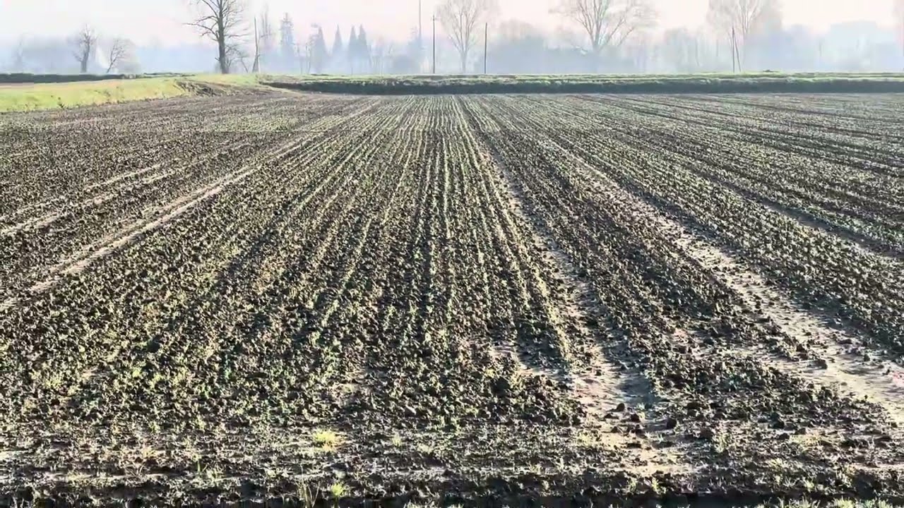 Minima lavorazione e agricoltura biologica, missione (quasi?) impossibile.