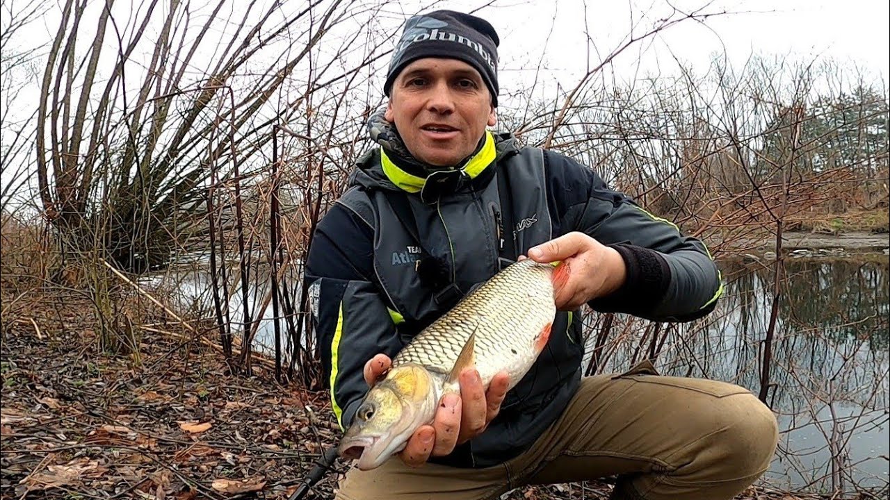 Gra w podchody nad rzeką - Klenie na ultralekkim spinningu.