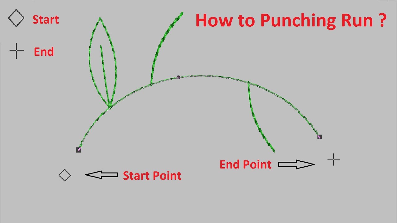 Wilcom Software | Machine Embroidery Design | Run Punching Tips Part 1