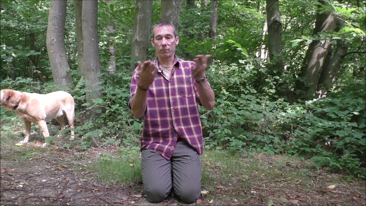 How to light a fire using birch bark