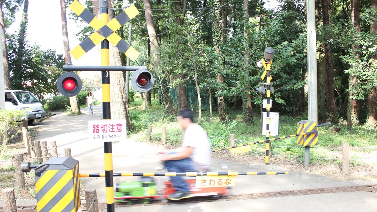 佐倉草笛の丘でミニSL、踏切、ミニパーシー | mini train, mini tomas