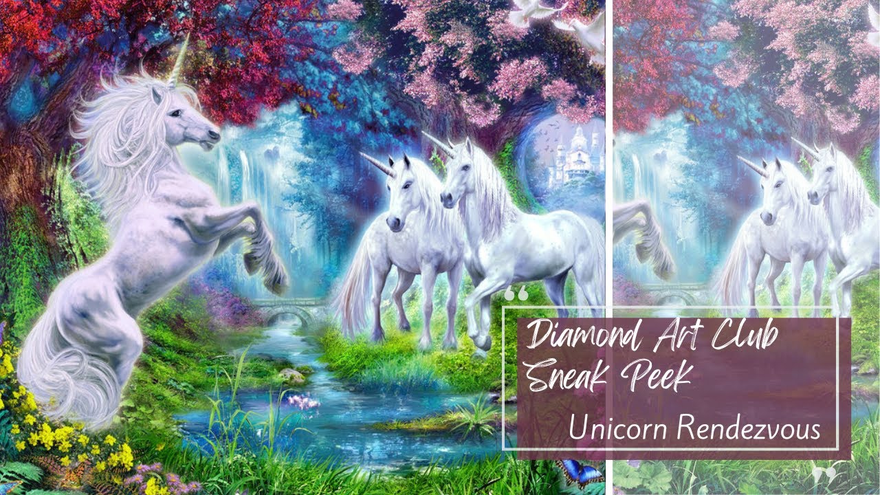 Краткий обзор Diamond Art Club || Встреча с единорогом