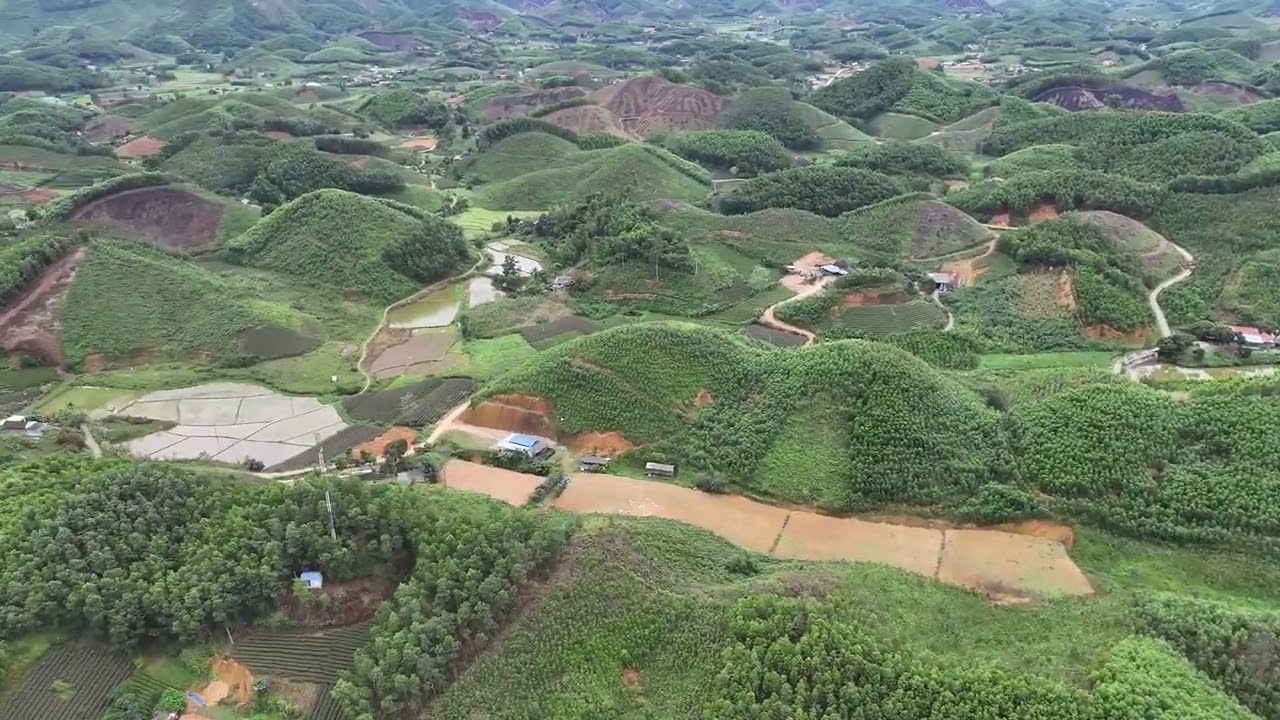 quê hương lơi lớn nên