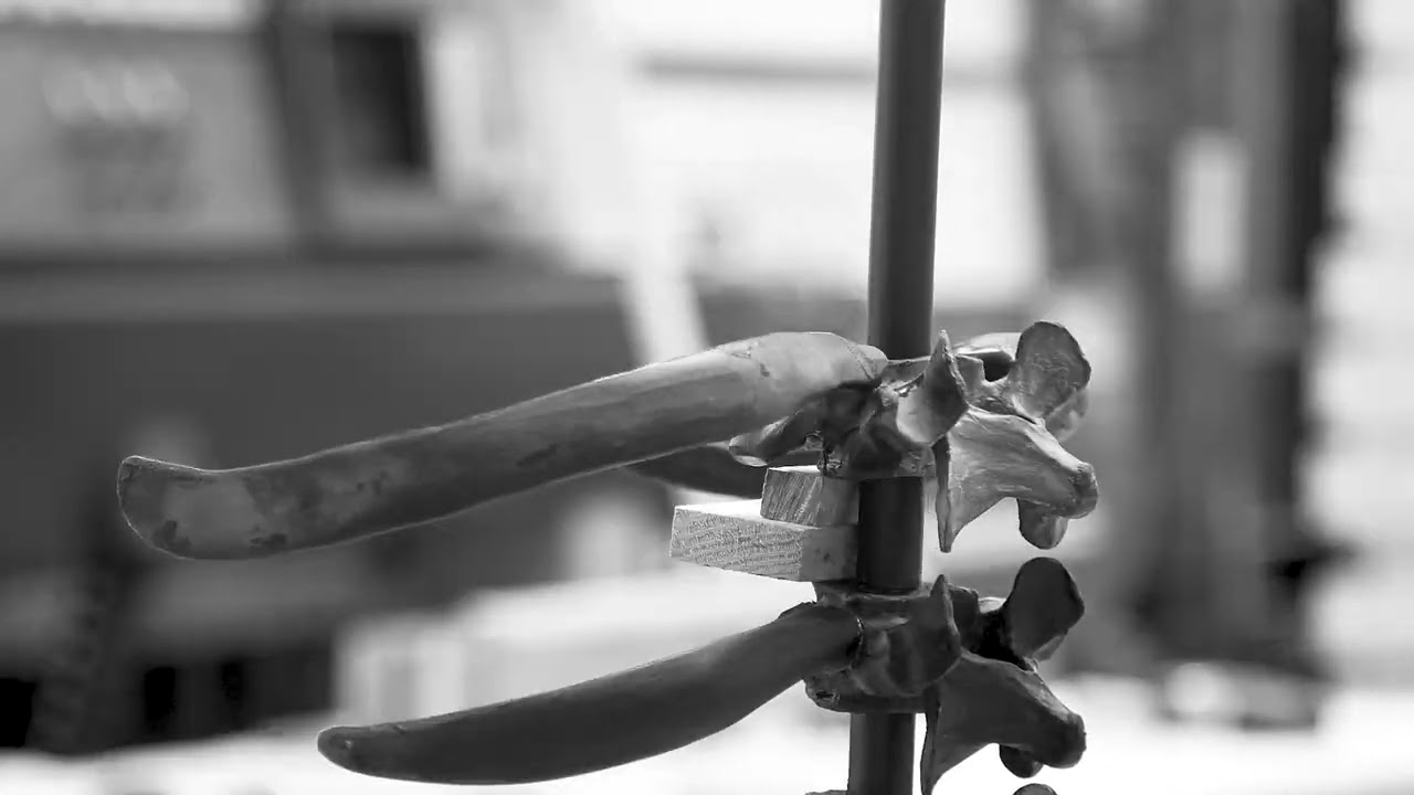 Behind the scenes assembling La Commedia Umana by Ai Weiwei