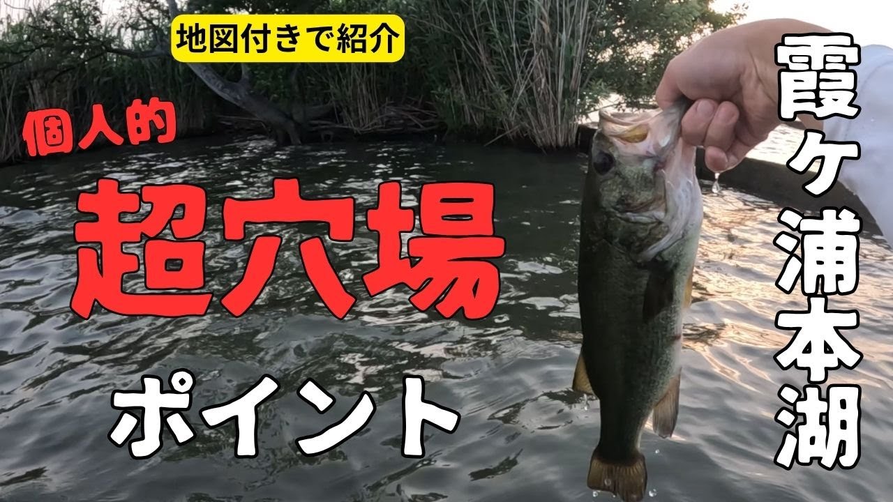 【霞ヶ浦　本湖　バス釣り　ウェーディング】本当は墓場まで持っていきたい　ひっそりと楽しむ隠れ穴場ポイント紹介