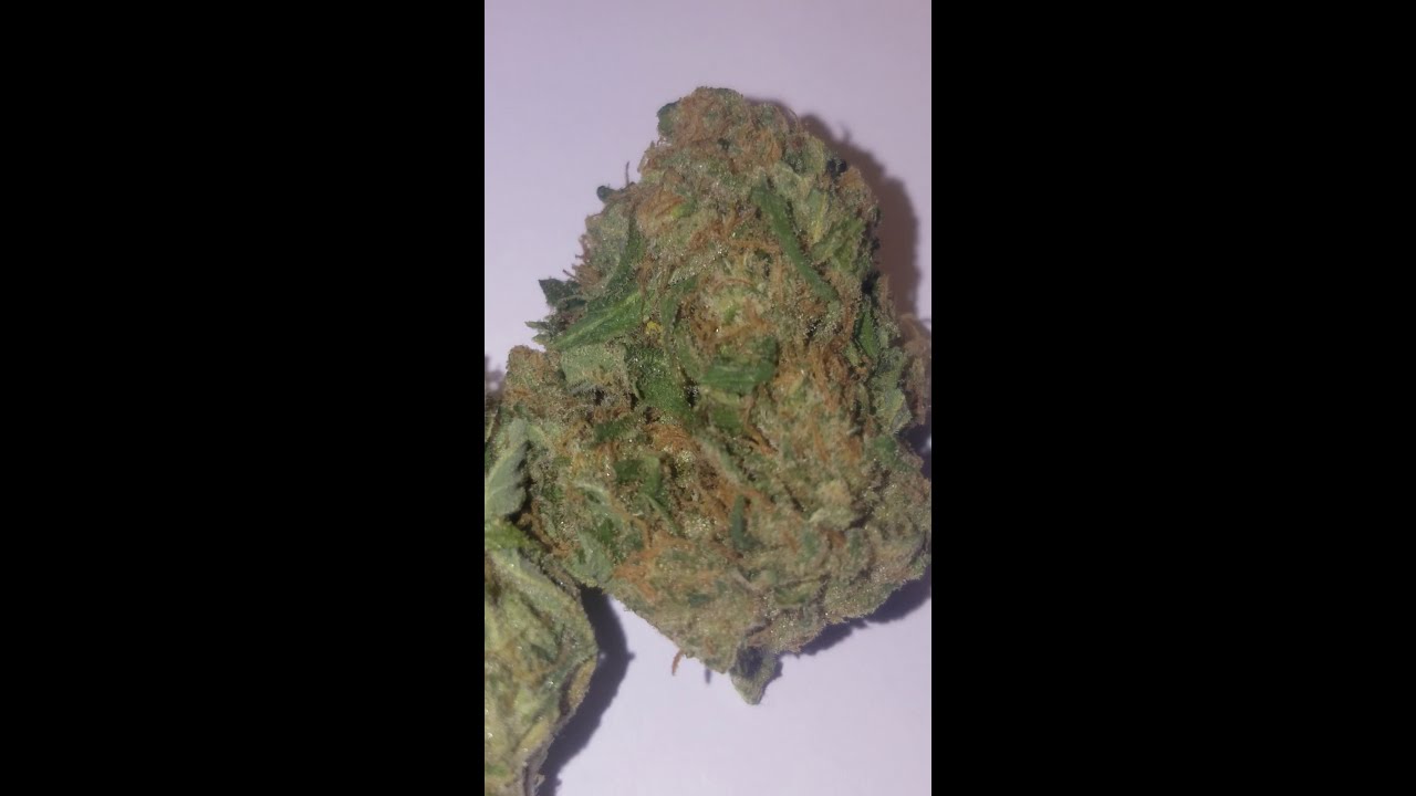 Sour Space Candy Hemp Flower from Starseed Botanicals (high quality cbd )