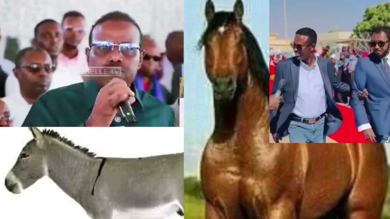 Waaba Reer Mataan oo Murusade U Hanjabaya iyo Xaadoole oo Jacfar U Hanjabaya !! Kkk.