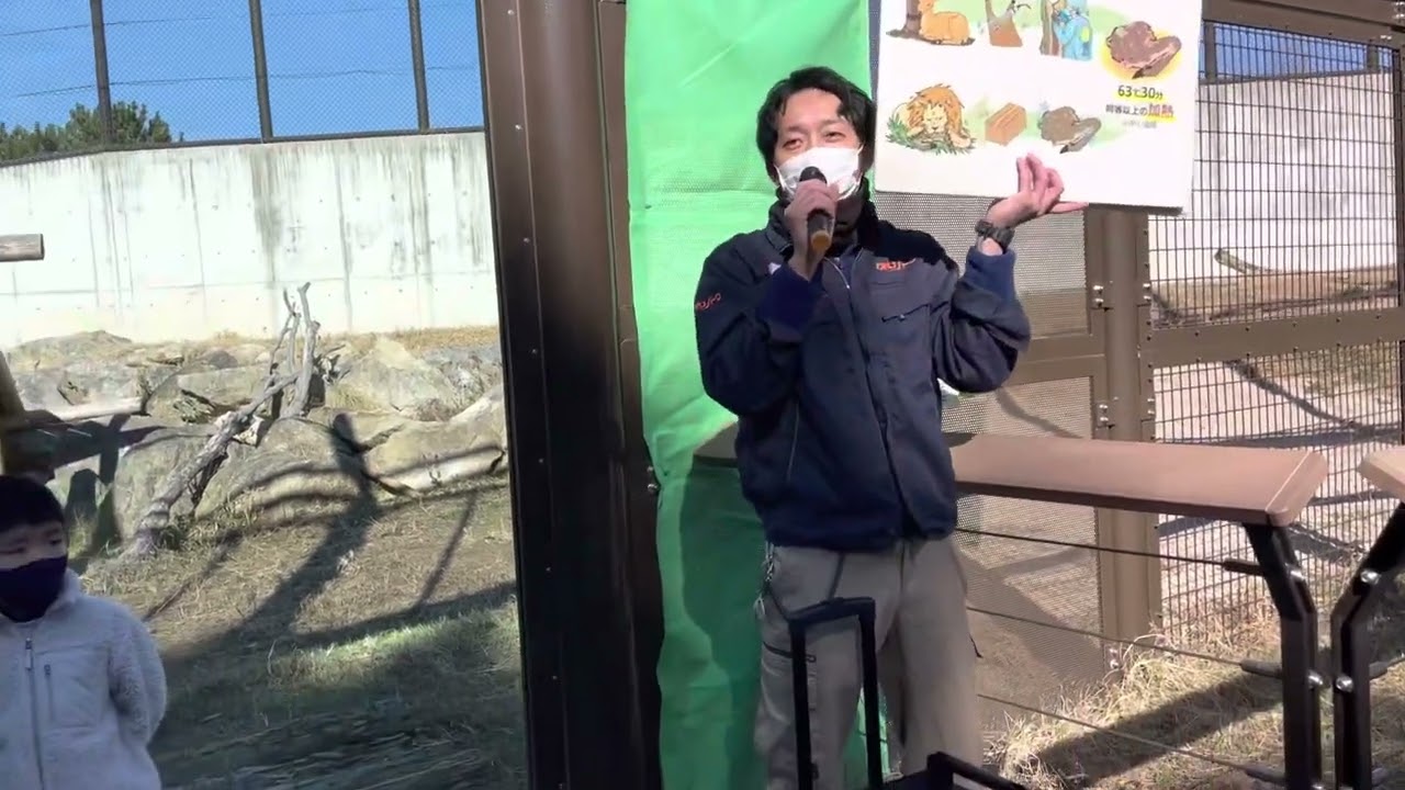 ライオンガイド「屠体給餌」🦁　左側より　のんほいパーク　2023年1月9日