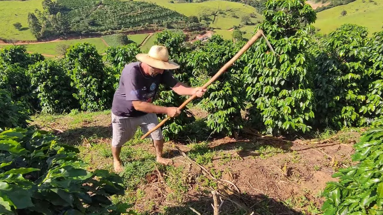 LIDA NA RO&Ccedil;A/LAVOURA DE CAF&Eacute;/ BELAS PAISAGENS SUL DE MINAS GERAIS