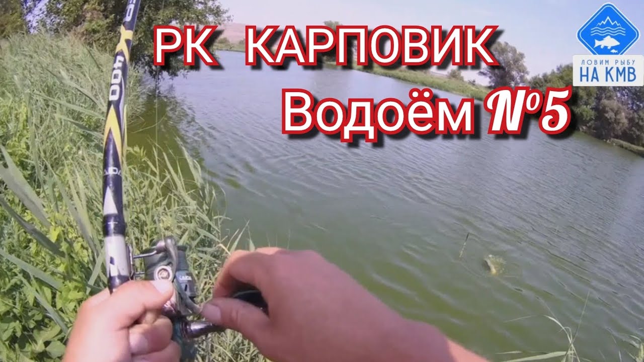 Рыбалка (КМВ). Ставропольский край. РК КАРПОВИК. Безумный клёв на удочку🎣