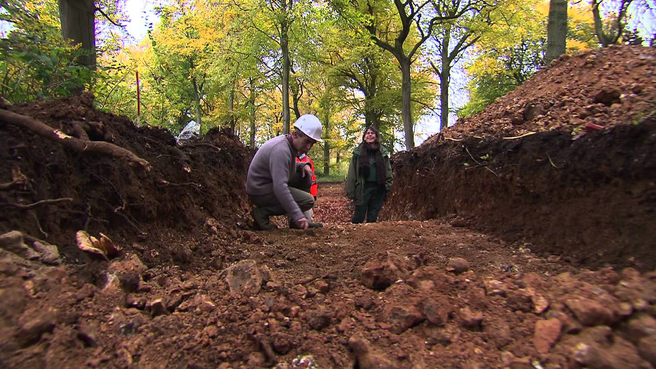 L'oppidum d'Orival : Sous les arbres, les racines de Rouen