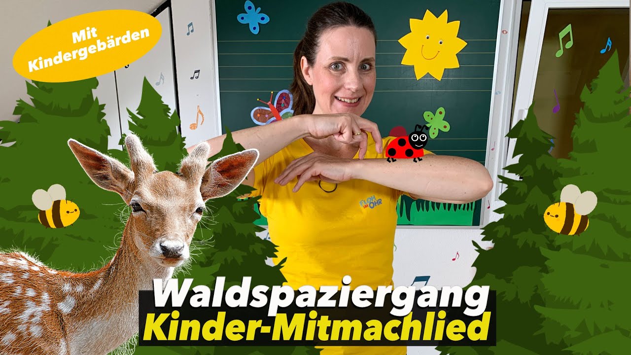 WALD | Waldspaziergang | Natur | Kita | KINDERLIED | Kindermusik | Kindertanz | Floh im Ohr TV