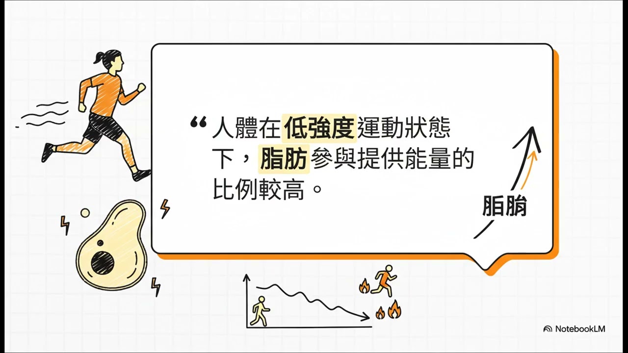 燃燒脂肪的驚人科學