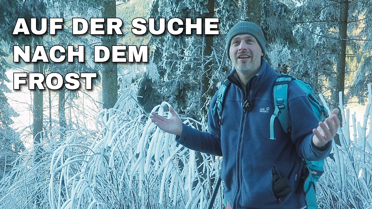Der Winter war da   nur nicht dort, wo ich ihn gesucht habe