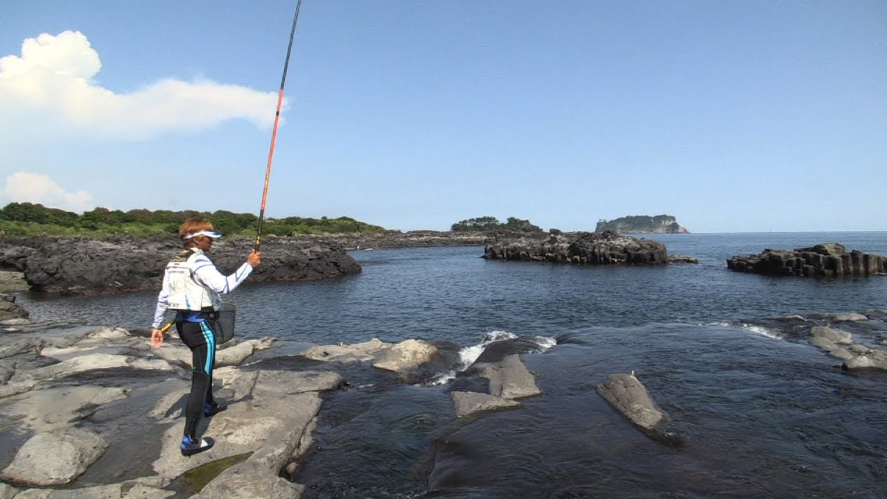#254 名手が堪能する韓国の友釣り旅情～鮎と戯れる済州島の夏～
