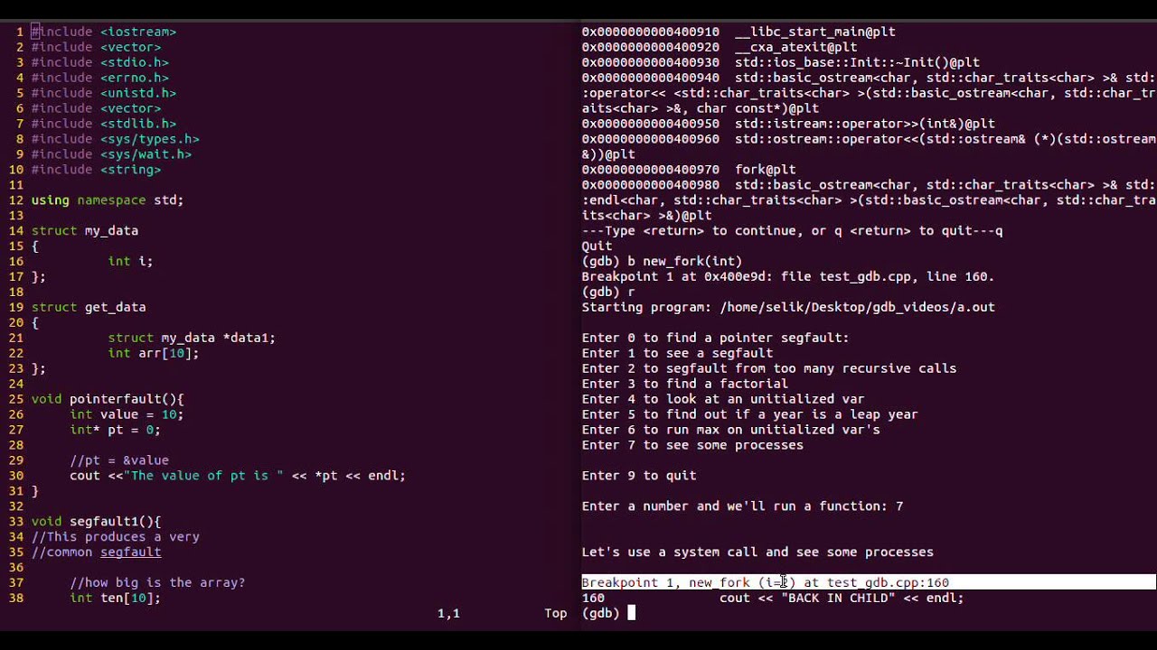 gdb with fork