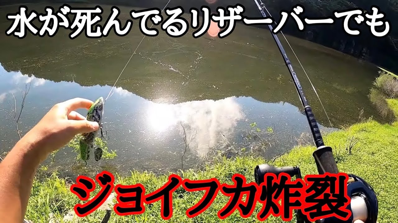 【ジョイントフカベイト】反応が新鮮すぎて&hellip;