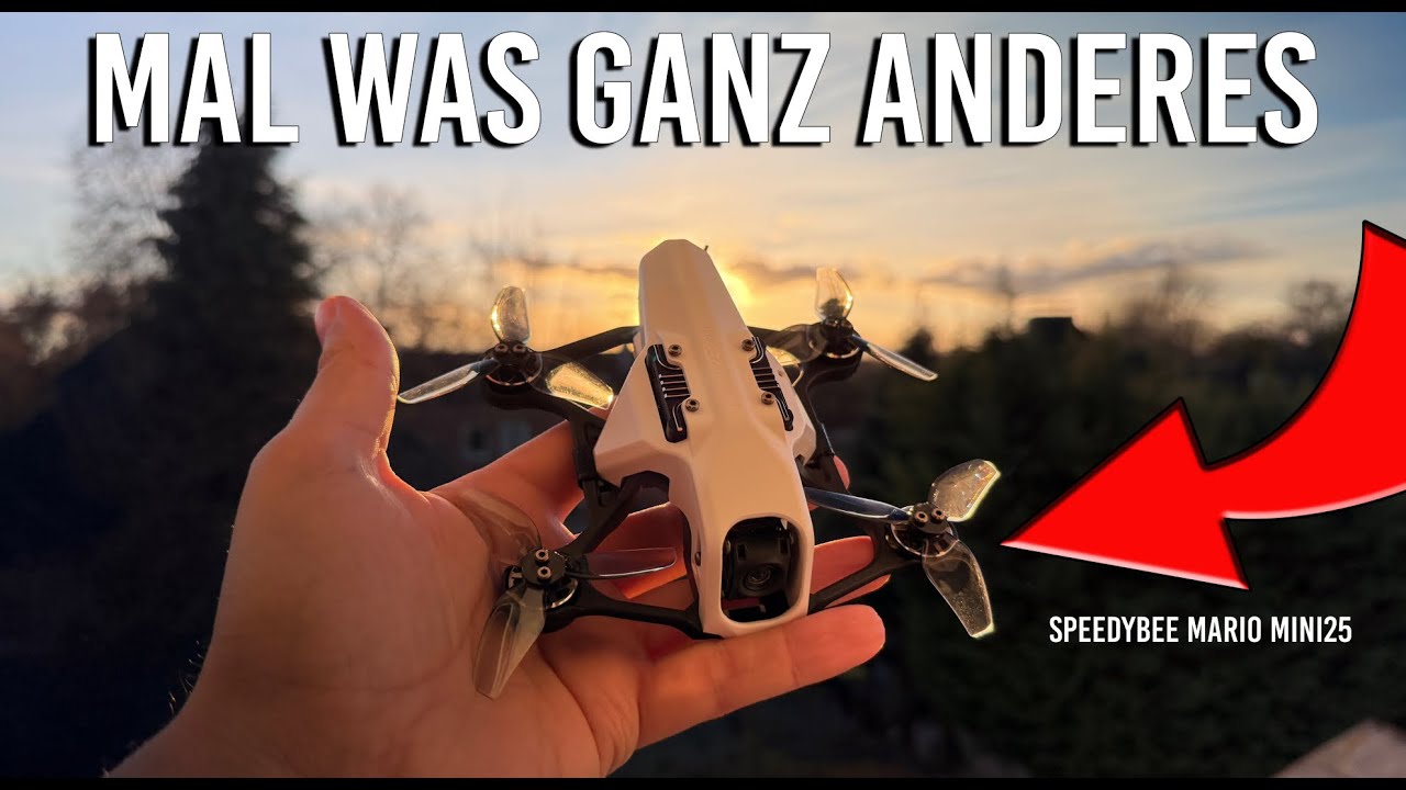 Unboxing der Speedybee Mario Mini 25..