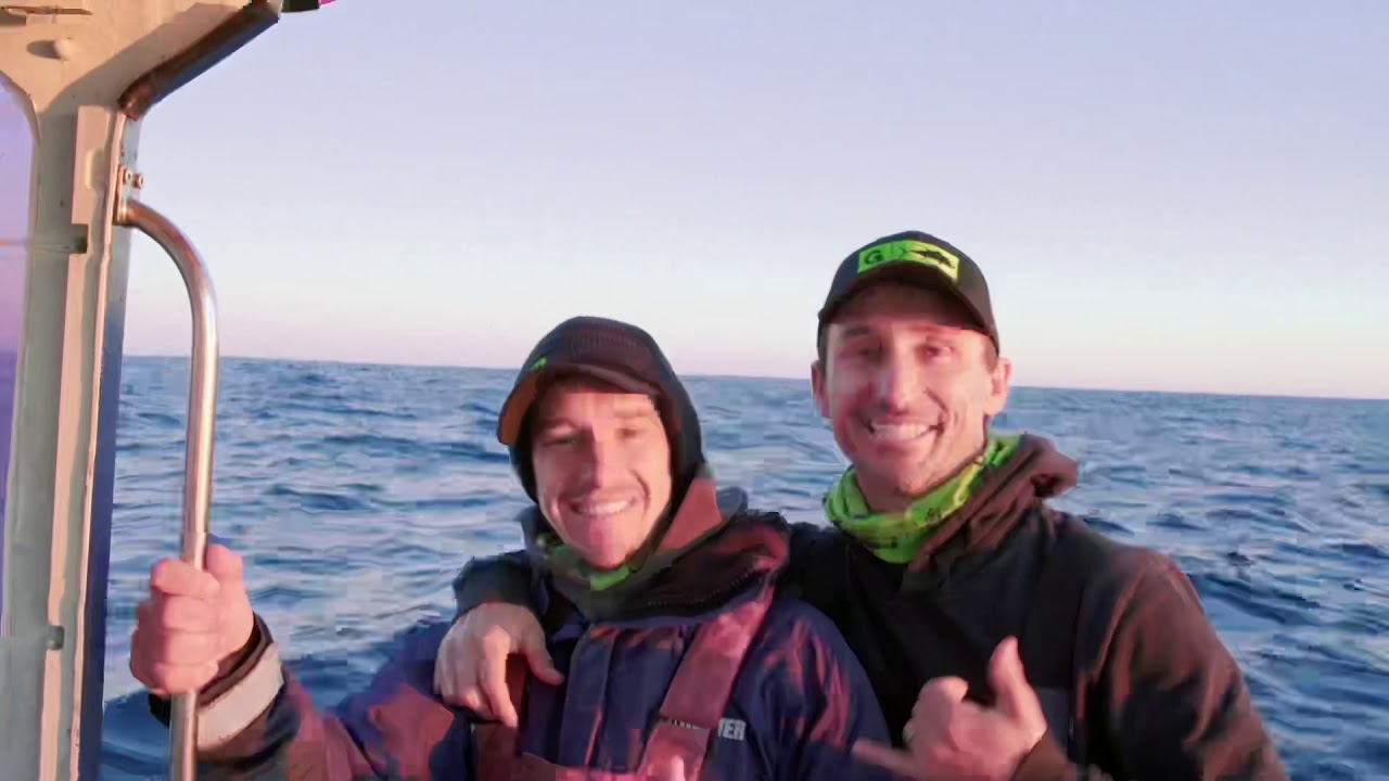 The Greenfish Story