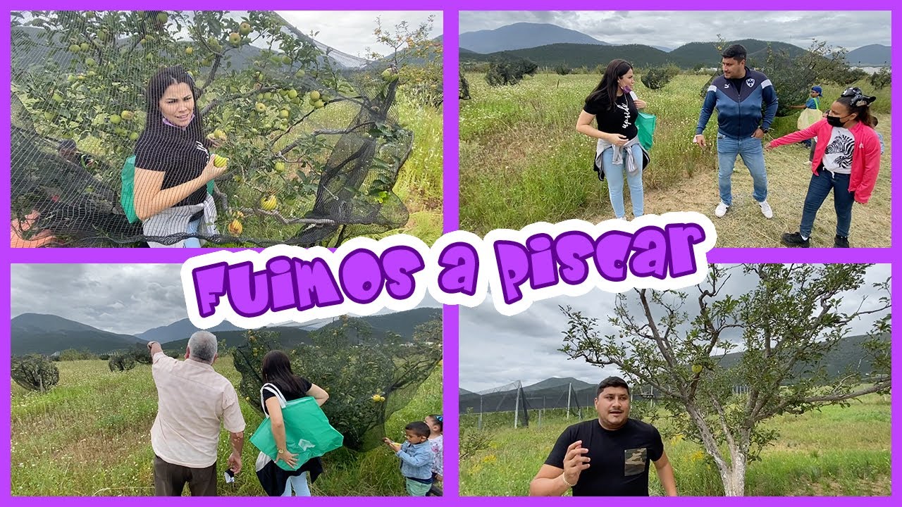 NOS FUIMOS A PISCAR / PISCANDO MANZANAS / PASEANDO EN ARTEAGA / LIZ ELIZONDO EN COAHUILA