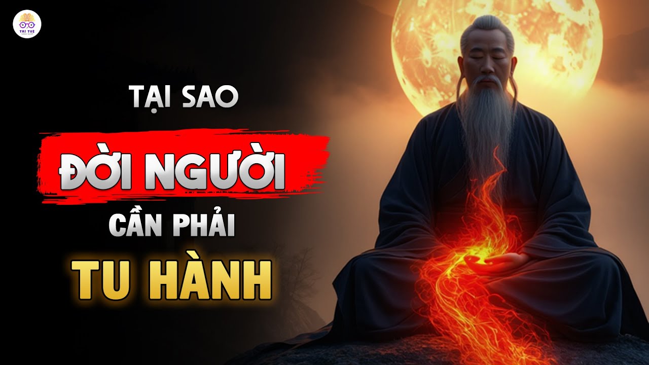 SỰ THẬT VỀ LINH HỒN: Cuộc Đời Là Một Hành Trình Tu Sửa Chính Mình