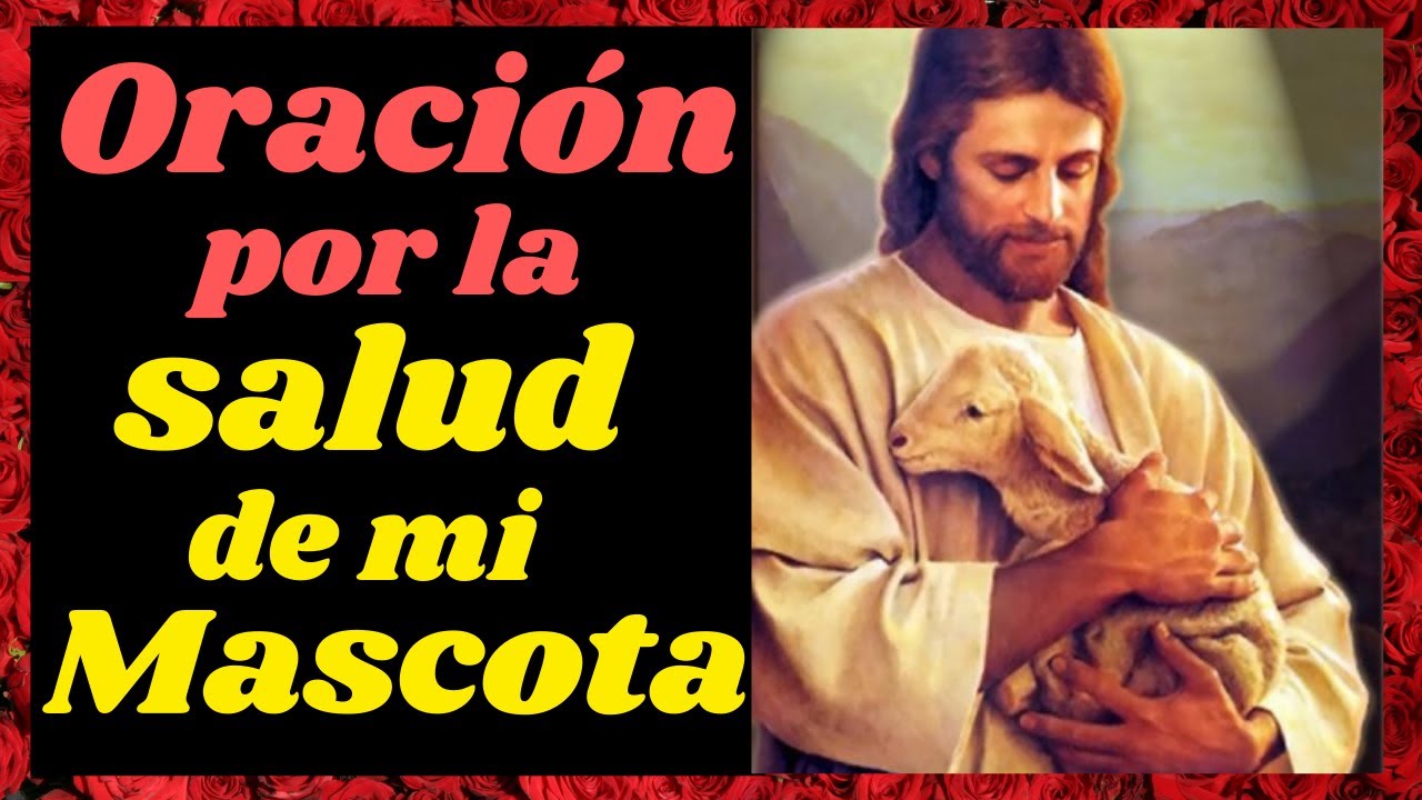 🙏ORACI&Oacute;N POR LA SALUD DE MI MASCOTA🐶🐱🐰