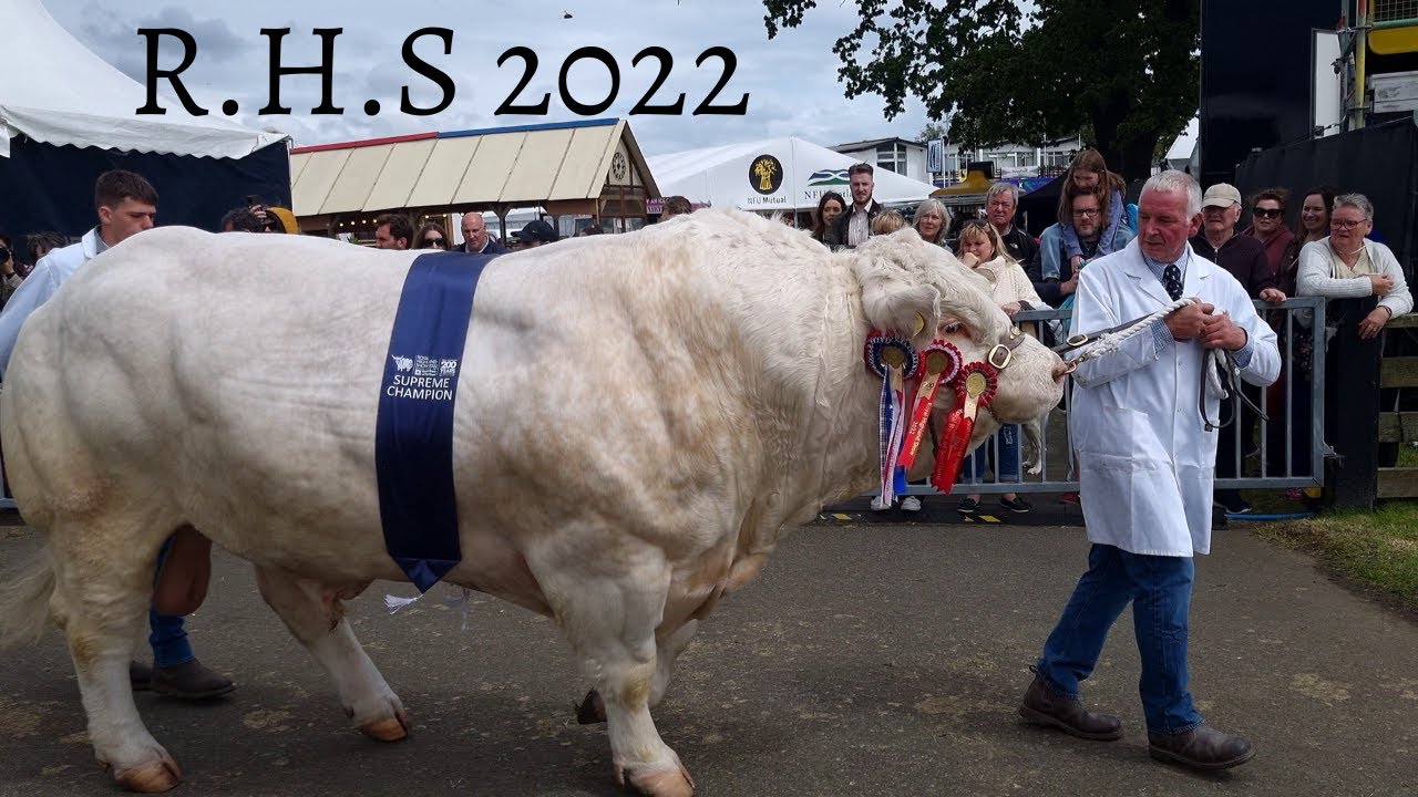 ROYAL HIGHLAND SHOW INGLISTON 2022 GIMBAL WALK