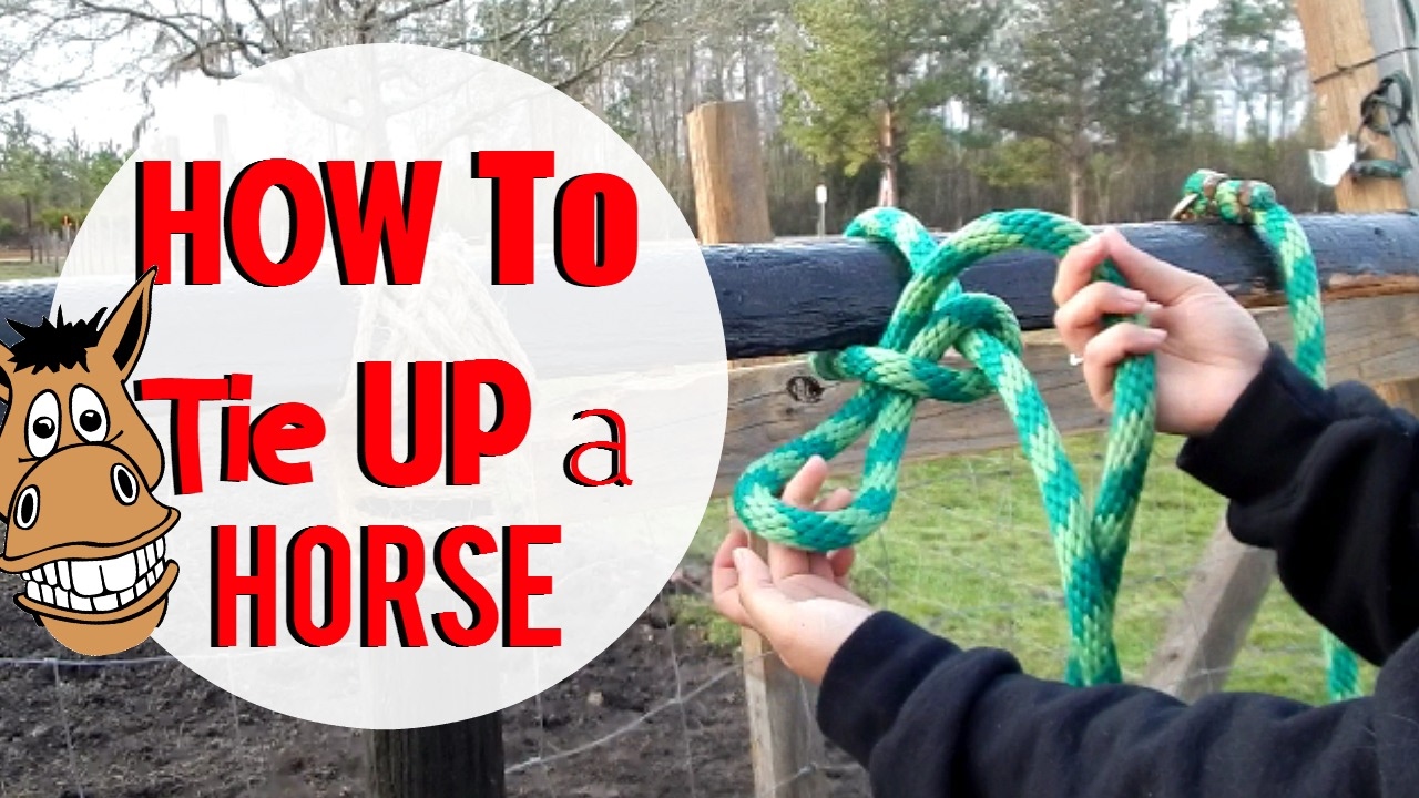 Tying Horses To Hitching Posts | How To Tie Up a Horse