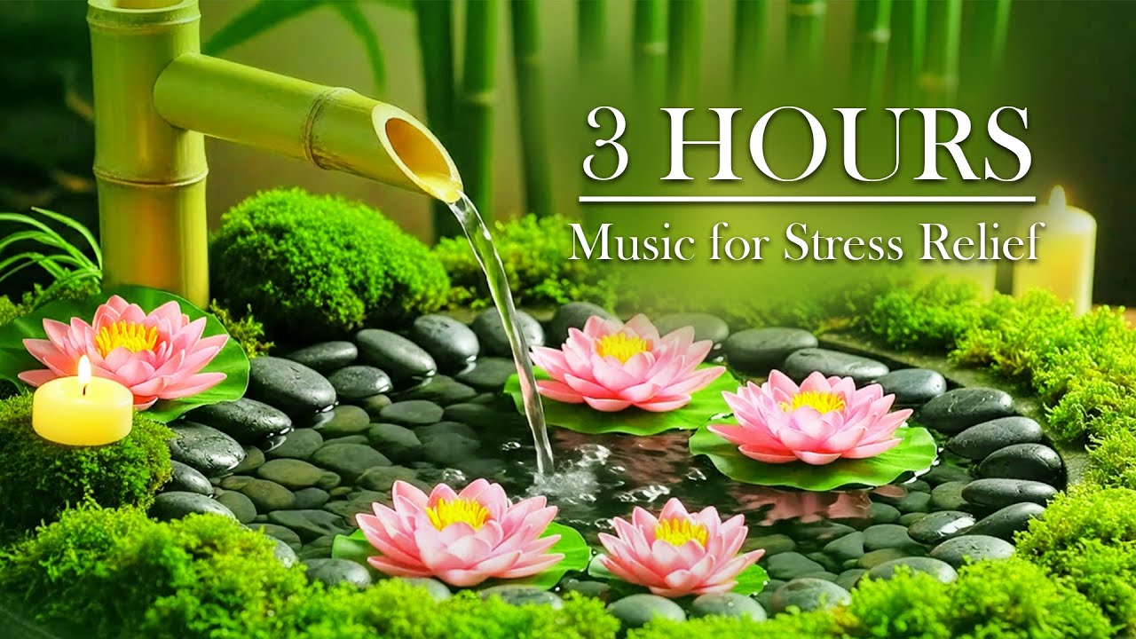 Stop Overthinking 🌿 3 Hours Relaxing Piano Music for Instant Stress Relief