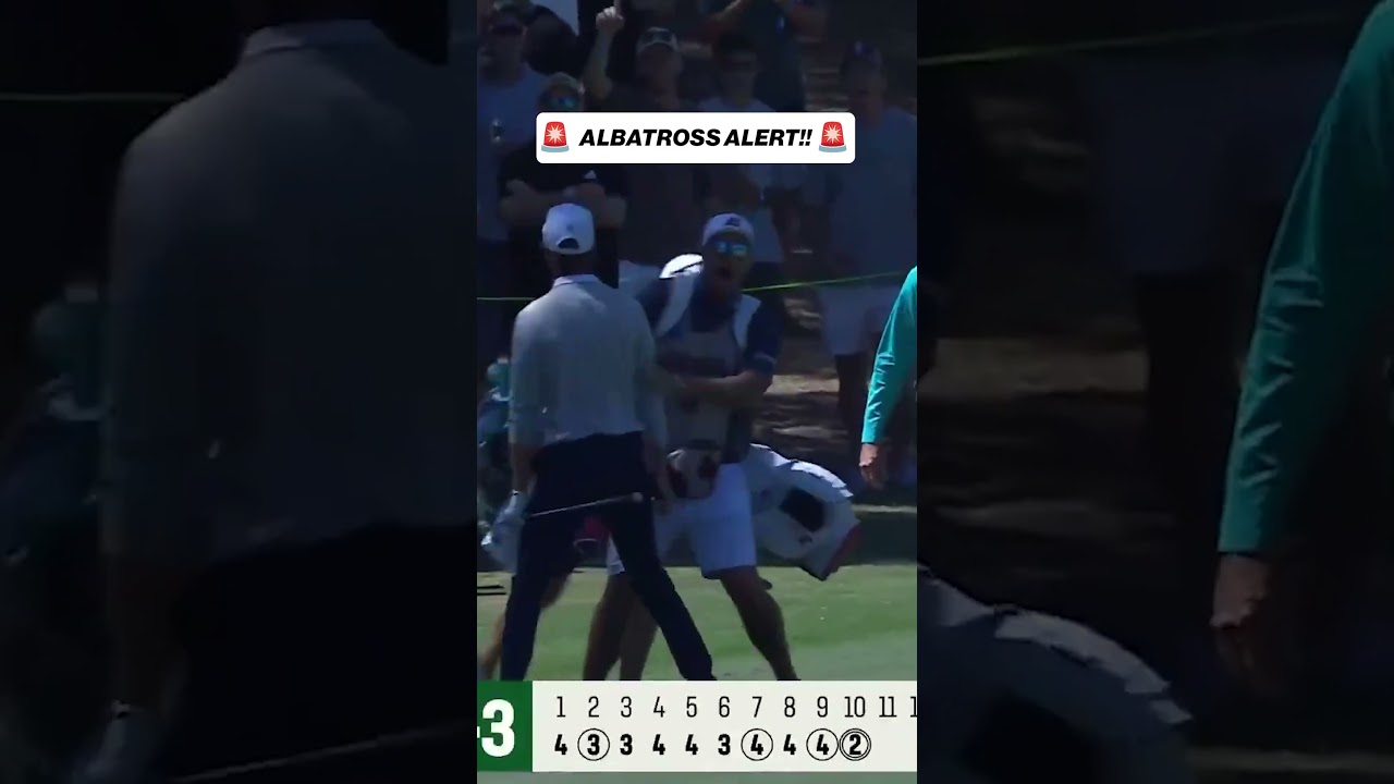 David Puig with just the 3rd Albatross in LIV Golf history! 😱 #golf #LIVGolf #albatross