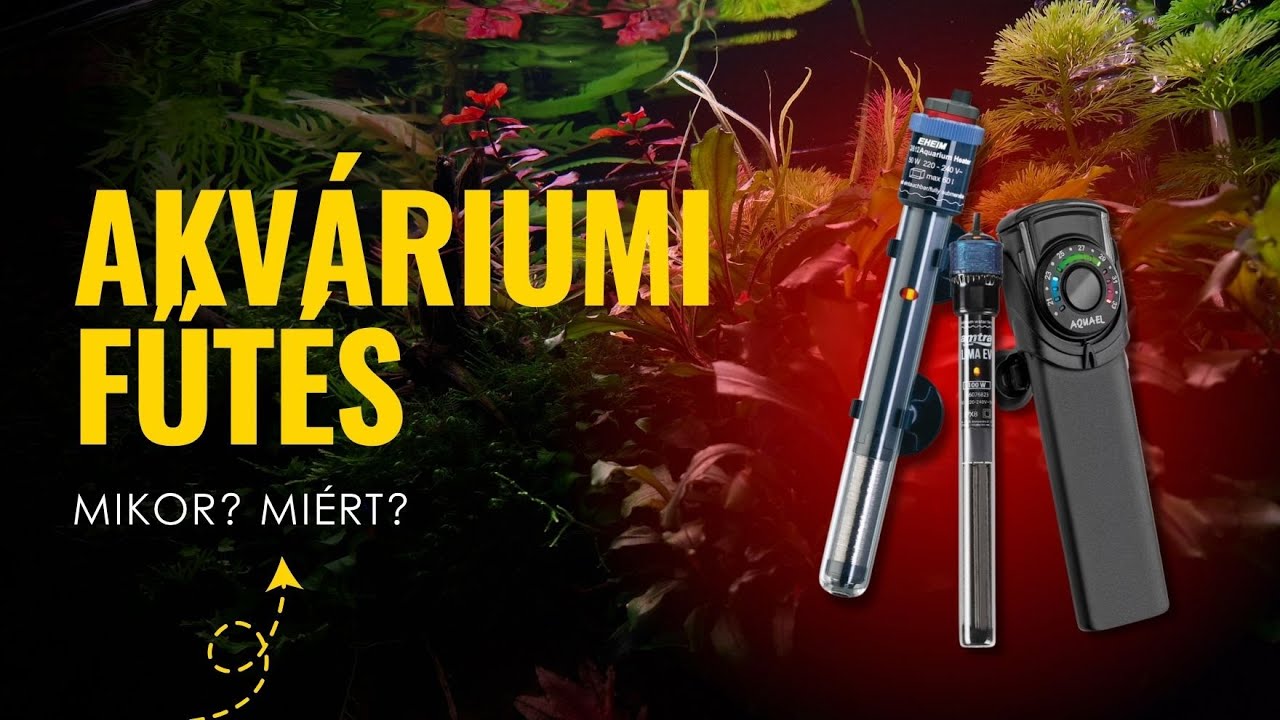 🌡️ Akvárium fűtés ősszel – így előzd meg a halak megfázását és betegségeit! 🐠