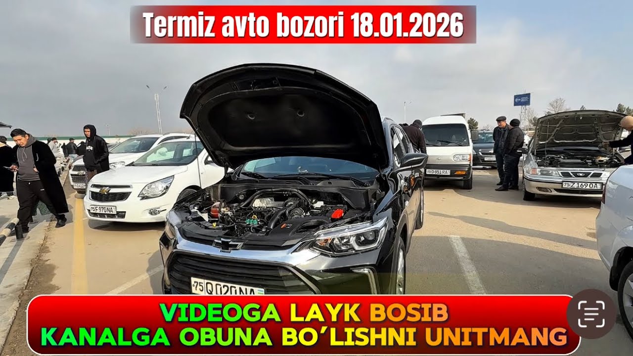 TERMIZ MOSHINA BOZORI 18.01.2026y 