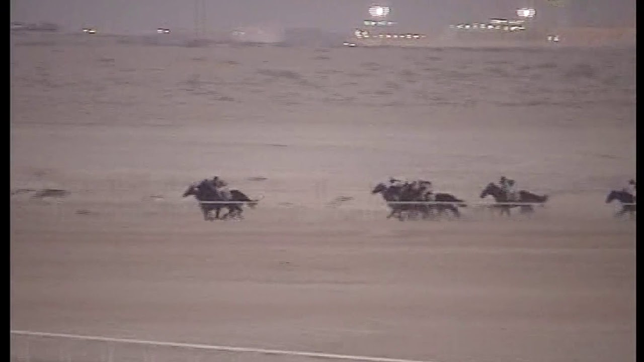 ميدان الفروسية بالأحساء لعام 1430ه حفل (5)شوط الخامس المركز الأول (المدلل)