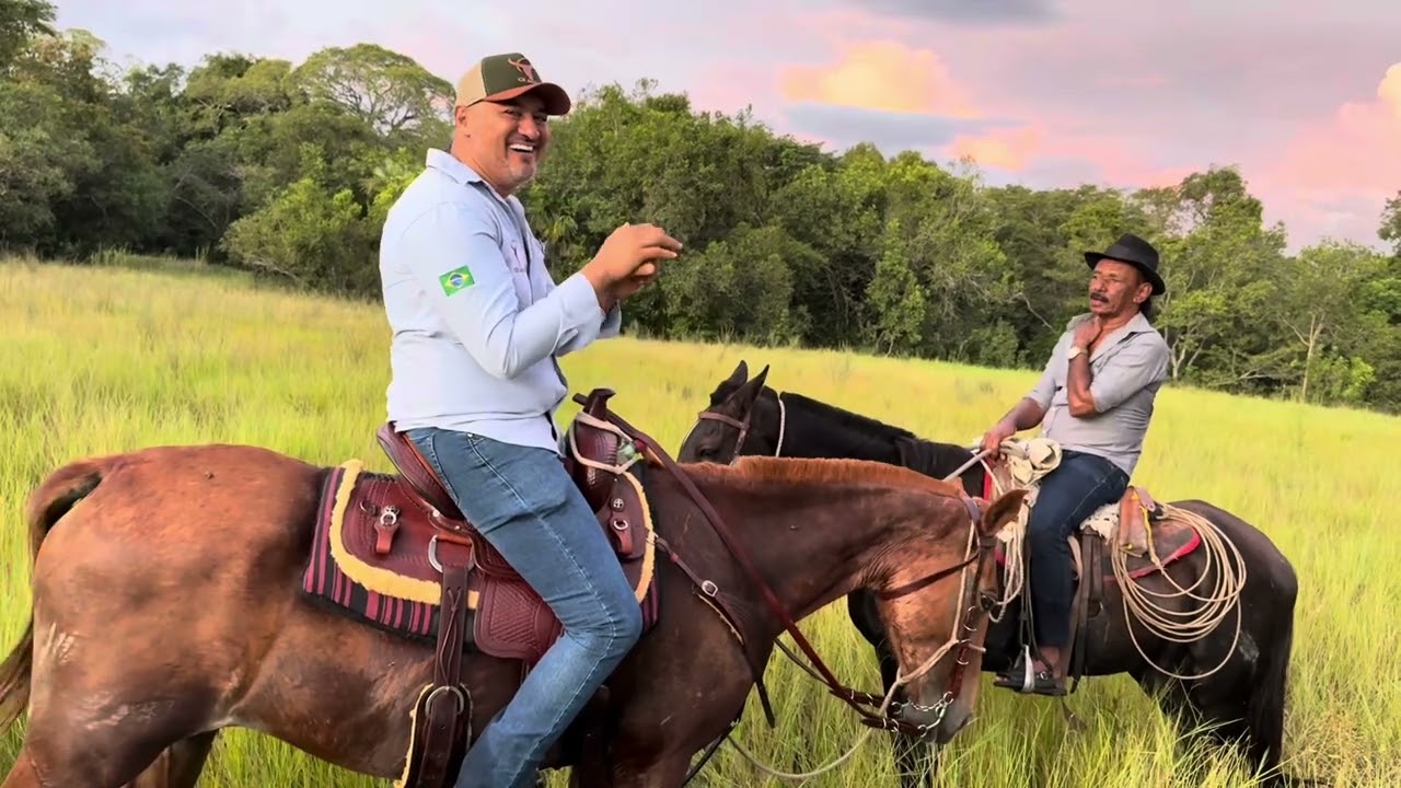 CHARLLES E TIRINGA FALANDO SOBRE INVESTIMENTOS EM FAZENDAS 💰￼| COM&Eacute;DIA SELVAGEM