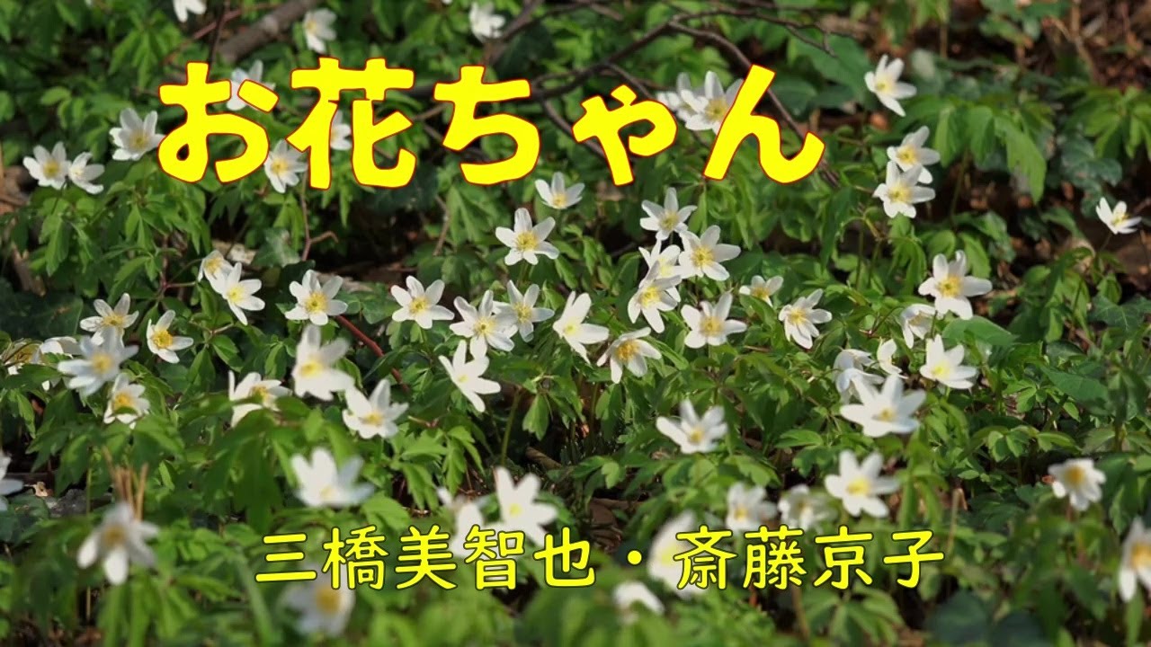 お花ちゃん　　　三橋美智也・斎藤京子
