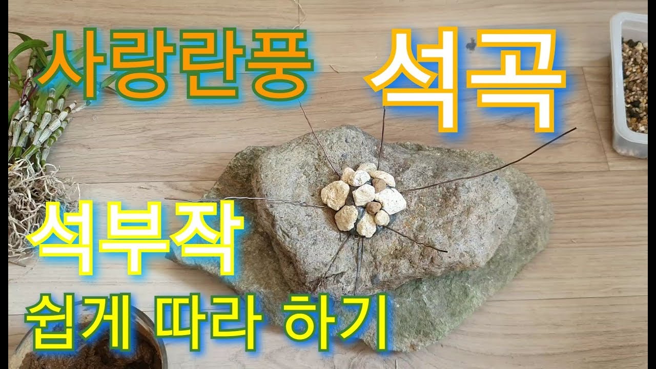 자화 처럼 예쁜 석곡 홍매 석부작 쉽게  따라 하기