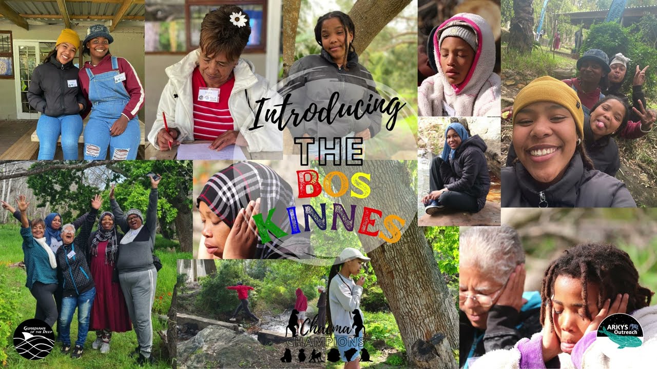 Bos Kinnes Video