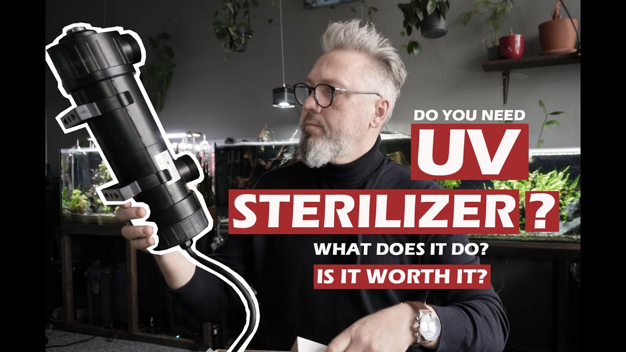 УФ-СТЕРИЛИЗАТОР. ЧТО ОН ДЕЛАЕТ? СТОИТ ЛИ ОНО ТОГО?