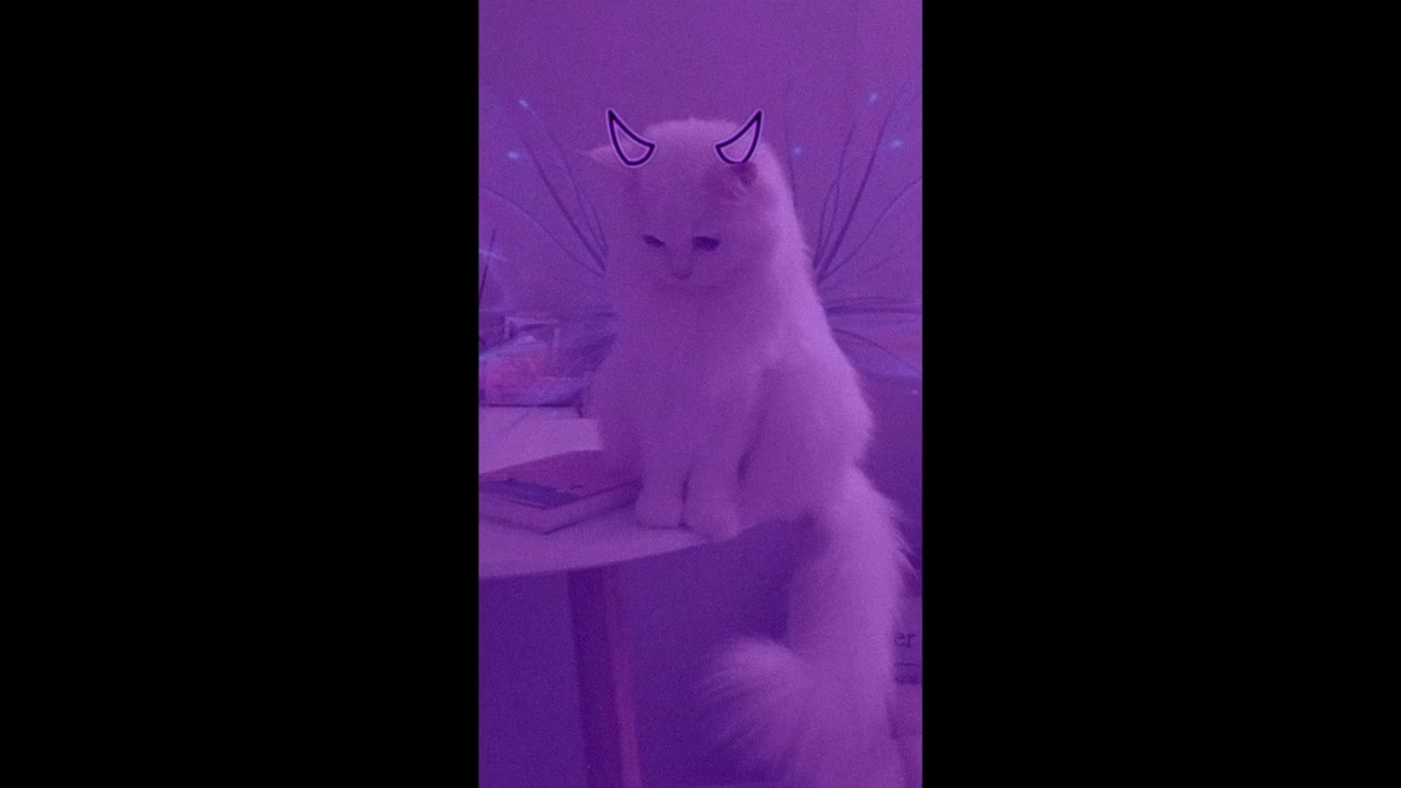 FREE | Happy Trap  x Lullaby Type Beat - 