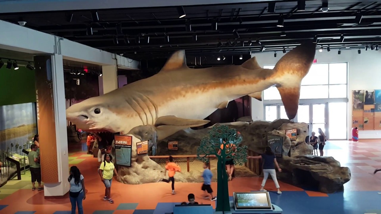 Prehistoric Florida