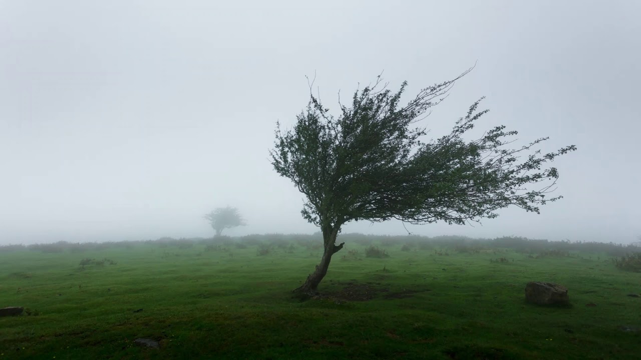 Morning Wind | Beautiful Music to start a day | Morning Vibes with Wind Energy