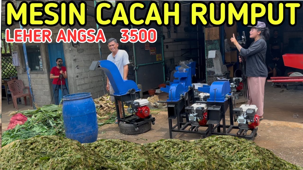 MESIN CACAH RUMPUT LEHER ANGSA HARGA 2 JUTAAN TANPA PENGGERAK