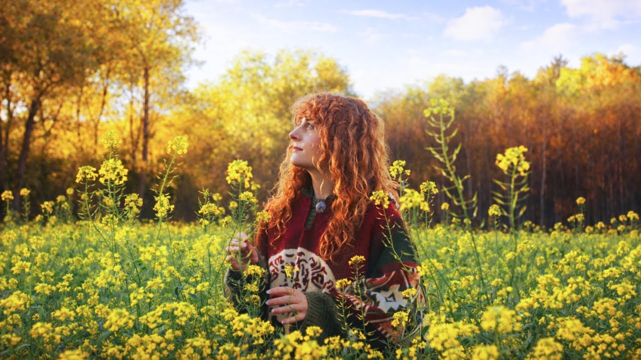 Calm Nature Sounds in a Golden Meadow 🌿 Birdsong & Forest Sounds (No Talking)