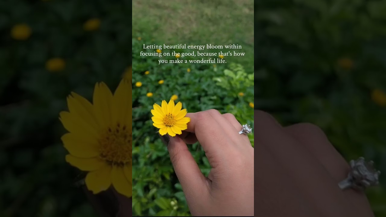 Positive quotes/Positive thoughts/Motivational video/Inspirational quotes/Best motivational videos