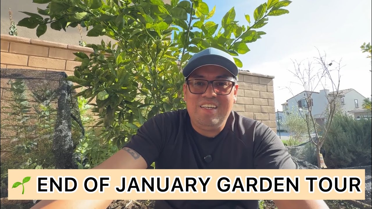 What’s Growing in Our Garden? 🌿 End of January 2026 Tour
