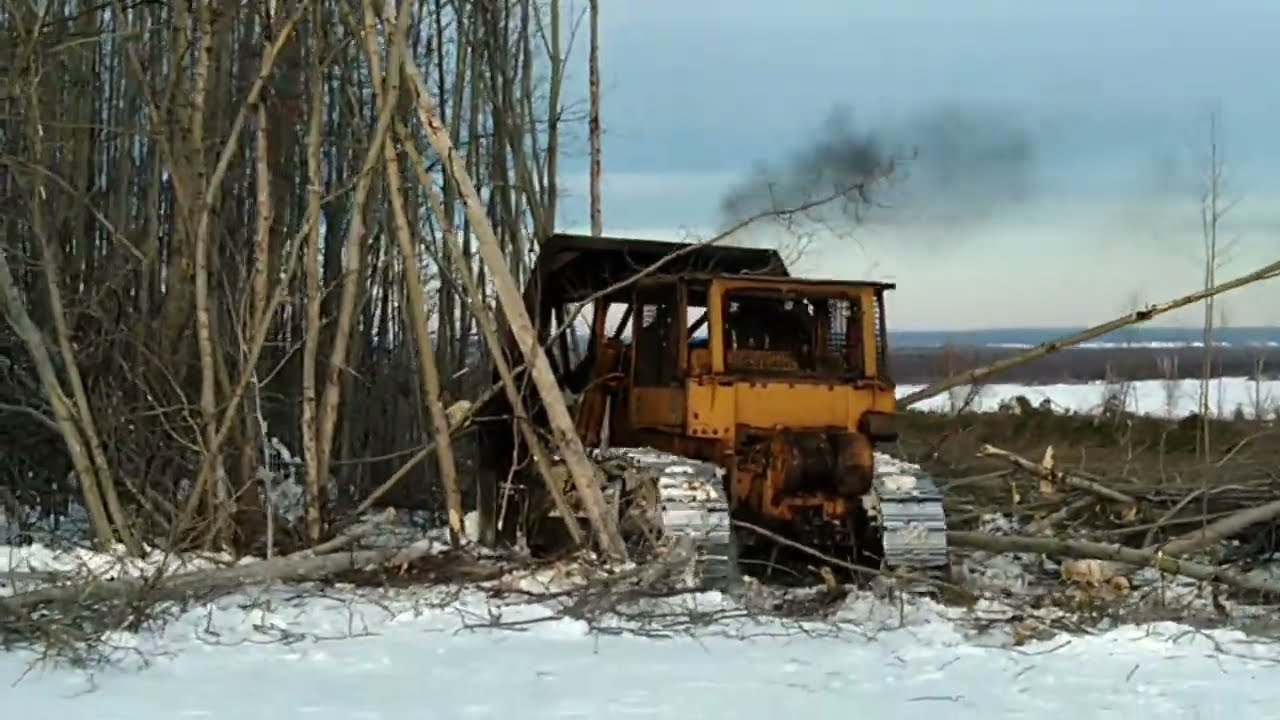 Clearing Land in Northern Alberta