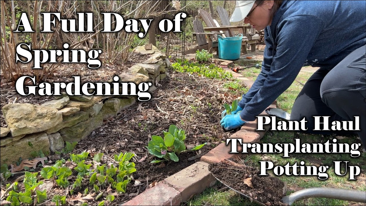 A Full Day of Spring Gardening | Plant Haul, Transplanting & Potting Up