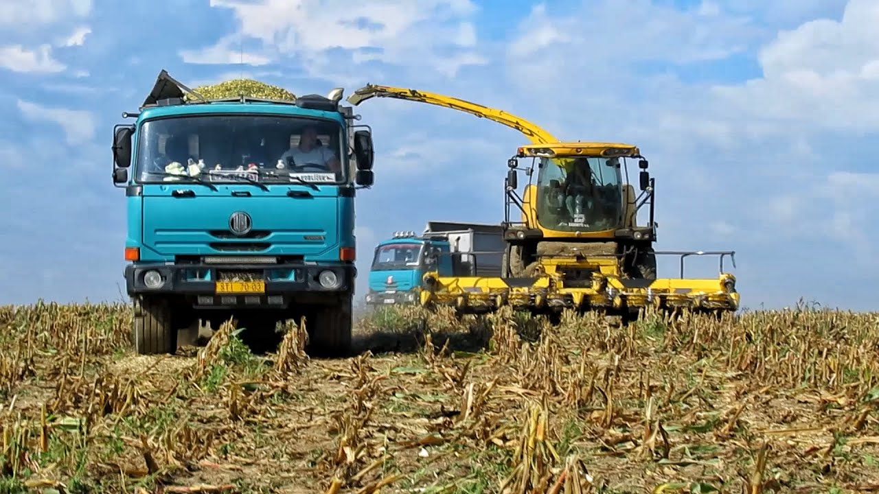Siláže 2022 | Rodinná farma Krty, Agro Radomyšl | New Holland FR9050, 2x TATRA Terrn°1, John Deere