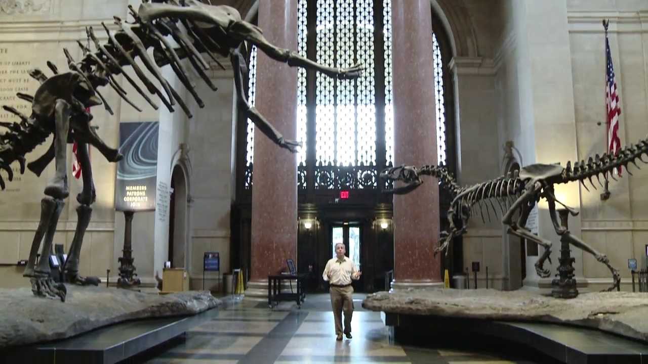 AMNH - Recording a Stand-up in the Roosevelt Rotunda at the American Museum of Natural History