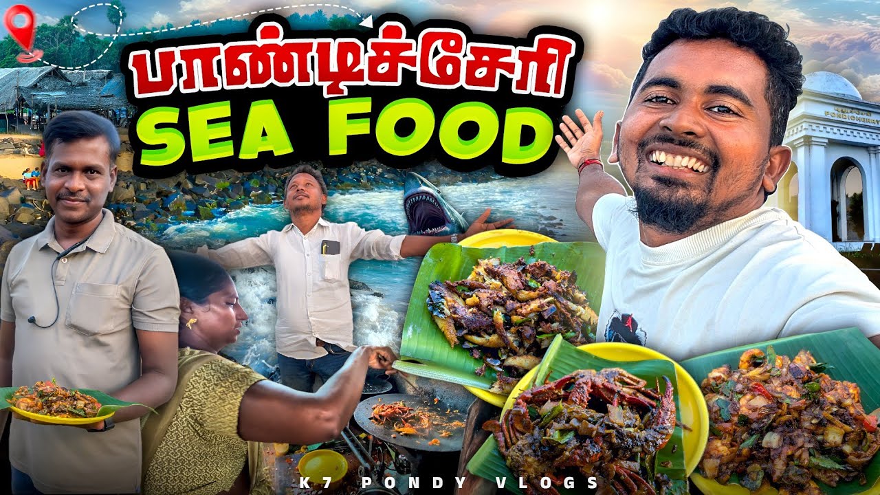 🔥பாண்டிச்சேரில இப்படி ஒரு இடமா☝🥵 | Pommipalayam Beach Pondy | Sea Food🐠🤤 | K7